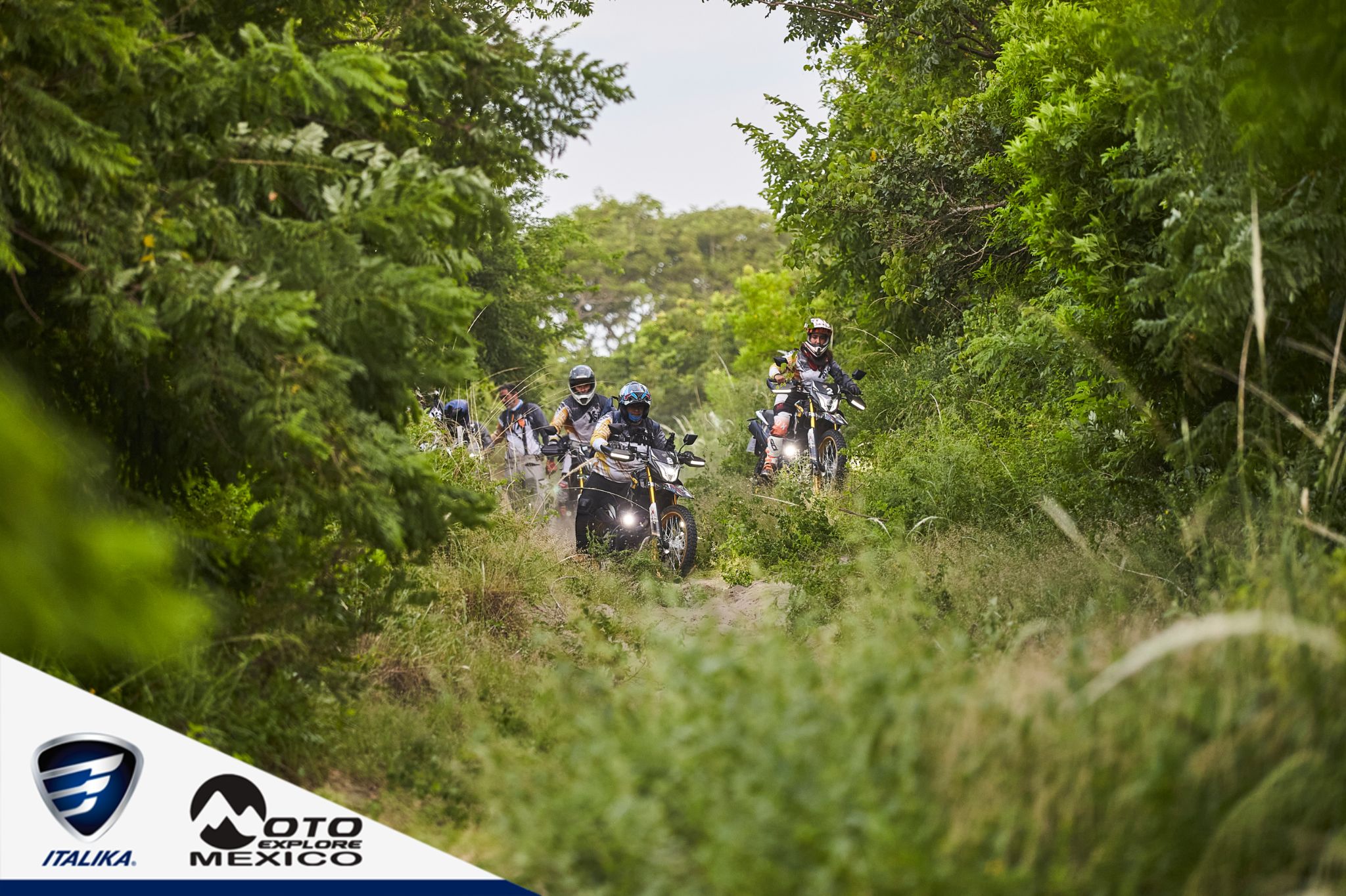 ITALIKA CHACHALACAS D1 389